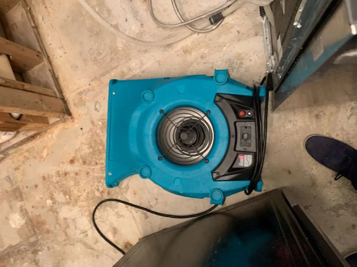 Air mover drying equipment for Mold Remediation & Removal in East Grand Rapids